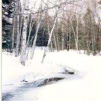 Nature sauvage...