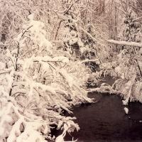 Glaciale...
